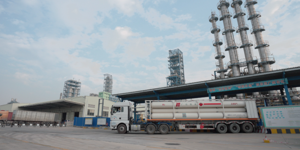 1769136542739001.png 1768362528233713.png